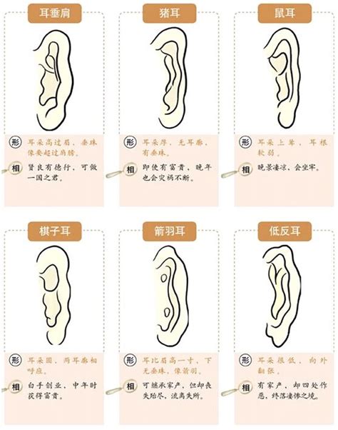 精靈耳面相|【精靈耳面相分析】精靈耳朵面相好不好 